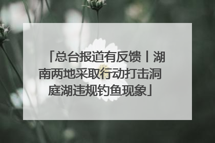 总台报道有反馈丨湖南两地采取行动打击洞庭湖违规钓鱼现象