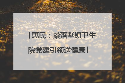 惠民：桑落墅镇卫生院党建引领送健康