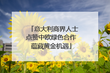 意大利商界人士点赞中欧绿色合作蕴藏黄金机遇