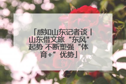 感知山东记者谈丨山东借文旅“东风”起势 不断塑强“体育+”优势