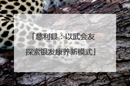 慈利县：以武会友 探索银发康养新模式