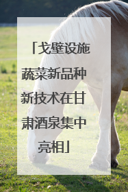 戈壁设施蔬菜新品种新技术在甘肃酒泉集中亮相