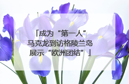 成为“第一人” 马克龙到访格陵兰岛展示“欧洲团结”