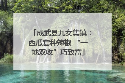 成武县九女集镇：西瓜套种辣椒 “一地双收”巧致富