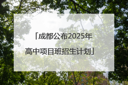 成都公布2025年高中项目班招生计划