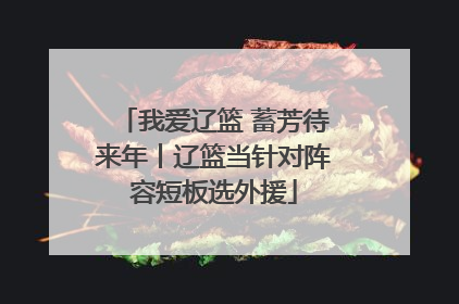 我爱辽篮 蓄芳待来年丨辽篮当针对阵容短板选外援