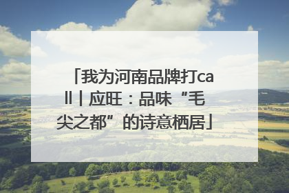 我为河南品牌打call丨应旺：品味“毛尖之都”的诗意栖居