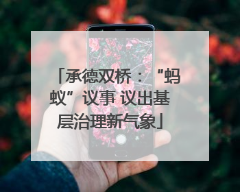 承德双桥：“蚂蚁”议事 议出基层治理新气象