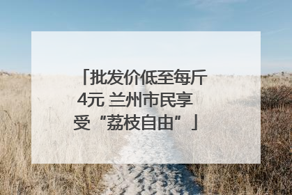 批发价低至每斤4元 兰州市民享受“荔枝自由”