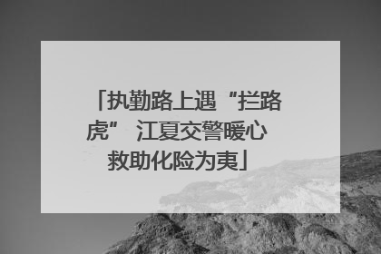 执勤路上遇“拦路虎” 江夏交警暖心救助化险为夷