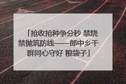 抢收抢种争分秒 禁烧禁抛筑防线——郎中乡干群同心守好 粮袋子