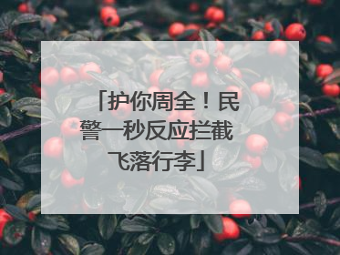 护你周全！民警一秒反应拦截飞落行李