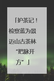护茶记！检察蓝为景迈山古茶林 “把脉开方”