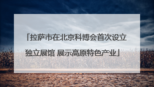 拉萨市在北京科博会首次设立独立展馆 展示高原特色产业