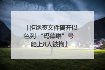 拒绝签文件离开以色列 “玛德琳”号船上8人被拘