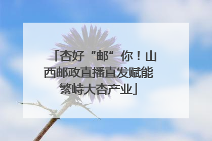 杏好“邮”你！山西邮政直播直发赋能繁峙大杏产业