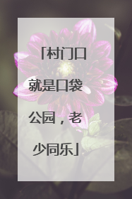 村门口就是口袋公园，老少同乐