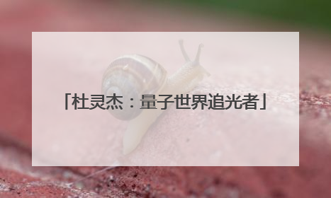 杜灵杰：量子世界追光者