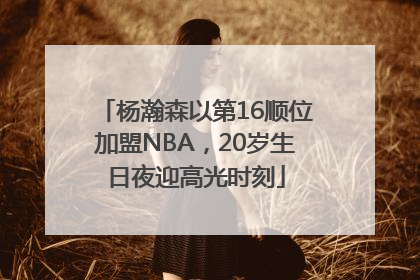 杨瀚森以第16顺位加盟NBA，20岁生日夜迎高光时刻