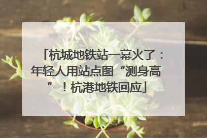 杭城地铁站一幕火了：年轻人用站点图“测身高”！杭港地铁回应