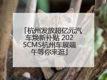 杭州发放超亿元汽车焕新补贴 2025CMS杭州车展端午等你来逛