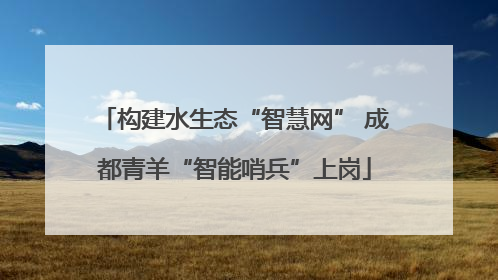 构建水生态“智慧网” 成都青羊“智能哨兵”上岗