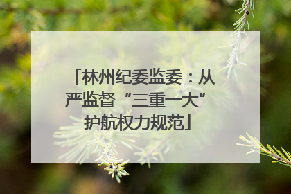 林州纪委监委：从严监督“三重一大” 护航权力规范