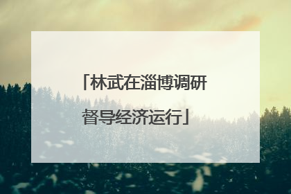 林武在淄博调研督导经济运行
