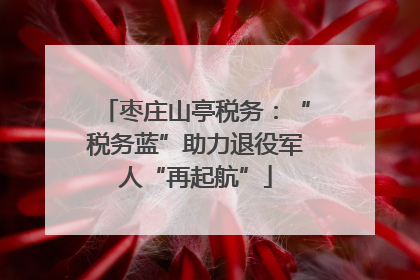 枣庄山亭税务：“税务蓝”助力退役军人“再起航”