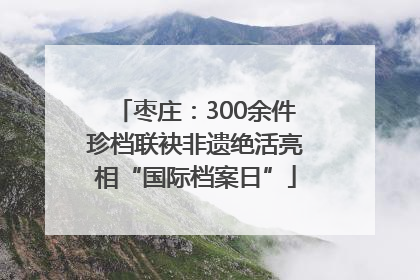 枣庄：300余件珍档联袂非遗绝活亮相“国际档案日”