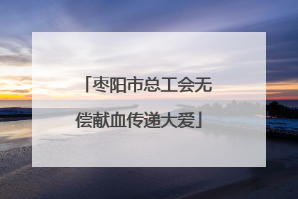 枣阳市总工会无偿献血传递大爱