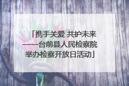 携手关爱 共护未来——台前县人民检察院举办检察开放日活动