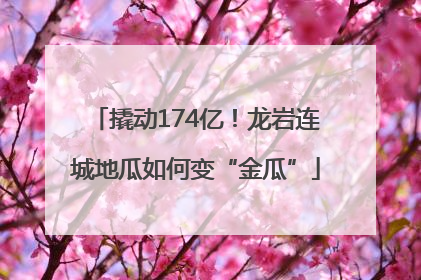 撬动174亿！龙岩连城地瓜如何变“金瓜”