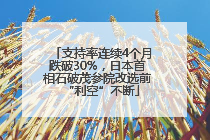 支持率连续4个月跌破30%，日本首相石破茂参院改选前“利空”不断