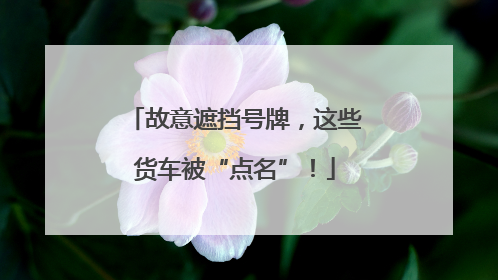 故意遮挡号牌，这些货车被“点名”！
