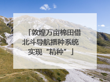 敦煌万亩棉田借北斗导航播种系统实现“精种”