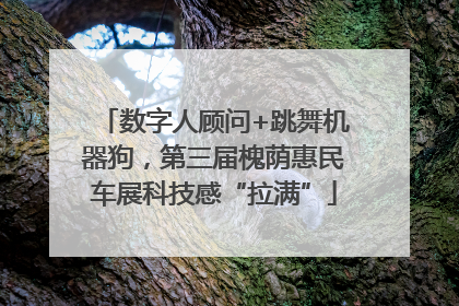 数字人顾问+跳舞机器狗，第三届槐荫惠民车展科技感“拉满”