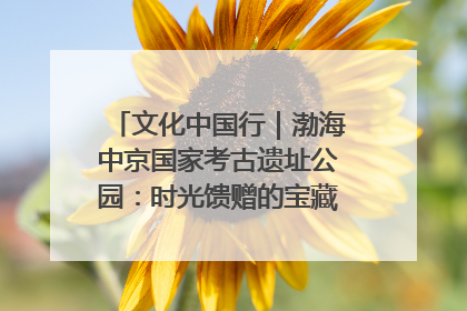 文化中国行｜渤海中京国家考古遗址公园：时光馈赠的宝藏 历史凝固的诗篇