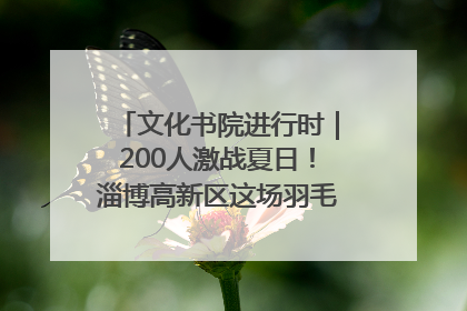 文化书院进行时｜200人激战夏日！淄博高新区这场羽毛球比赛太酷