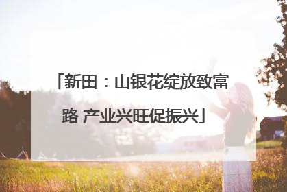 新田：山银花绽放致富路 产业兴旺促振兴