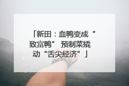 新田：血鸭变成“致富鸭” 预制菜撬动“舌尖经济”