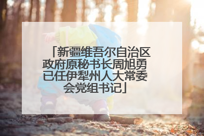 新疆维吾尔自治区政府原秘书长周旭勇已任伊犁州人大常委会党组书记