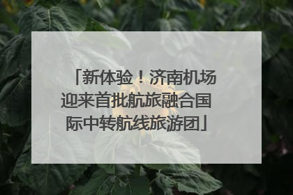 新体验！济南机场迎来首批航旅融合国际中转航线旅游团