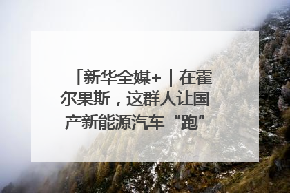 新华全媒+｜在霍尔果斯，这群人让国产新能源汽车“跑”向中亚(2)