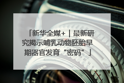 新华全媒+｜最新研究揭示哺乳动物胚胎早期器官发育“密码”