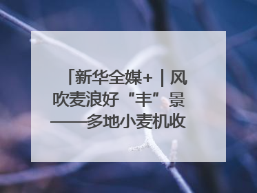 新华全媒+｜风吹麦浪好“丰”景——多地小麦机收一线见闻