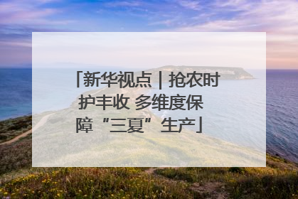 新华视点｜抢农时 护丰收 多维度保障“三夏”生产