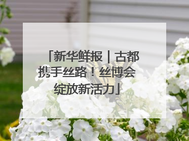新华鲜报｜古都携手丝路！丝博会绽放新活力