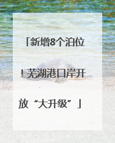 新增8个泊位！芜湖港口岸开放“大升级”