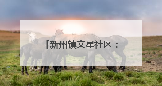 新州镇文星社区：“扫黄打非”进校园，普法宣传护青春